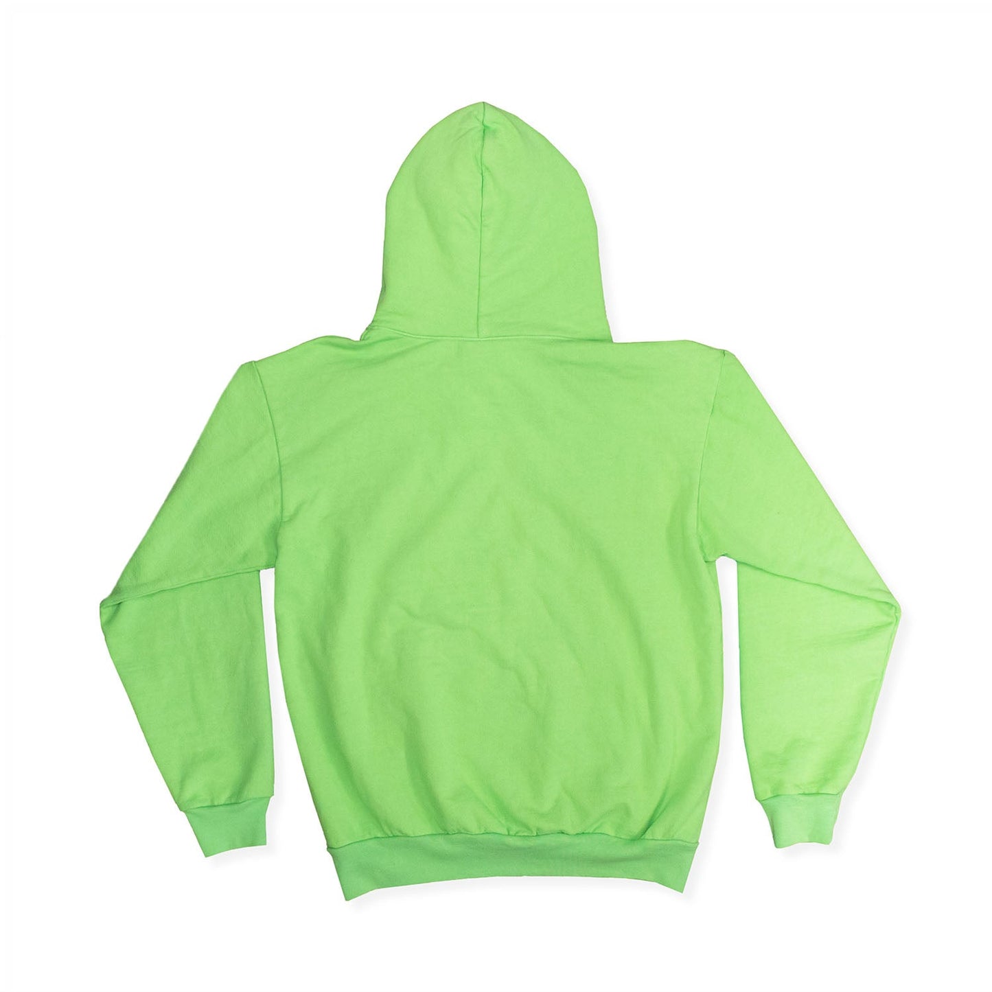 Coachella x Everybody.World 100% Hoodie - Green