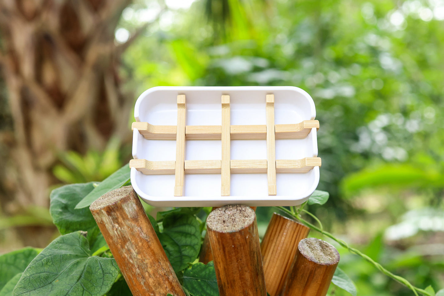 Bamboo Soap Coaster