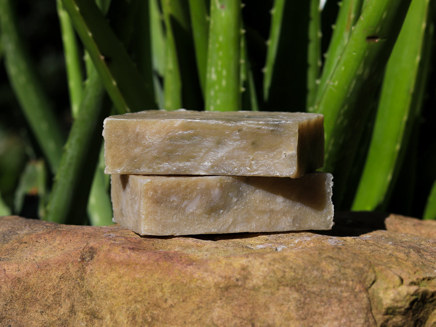 Nature's Medicine Soap Bar