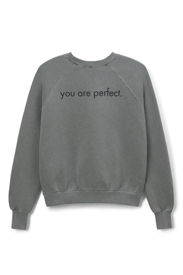 you are perfect ERA sweatshirt