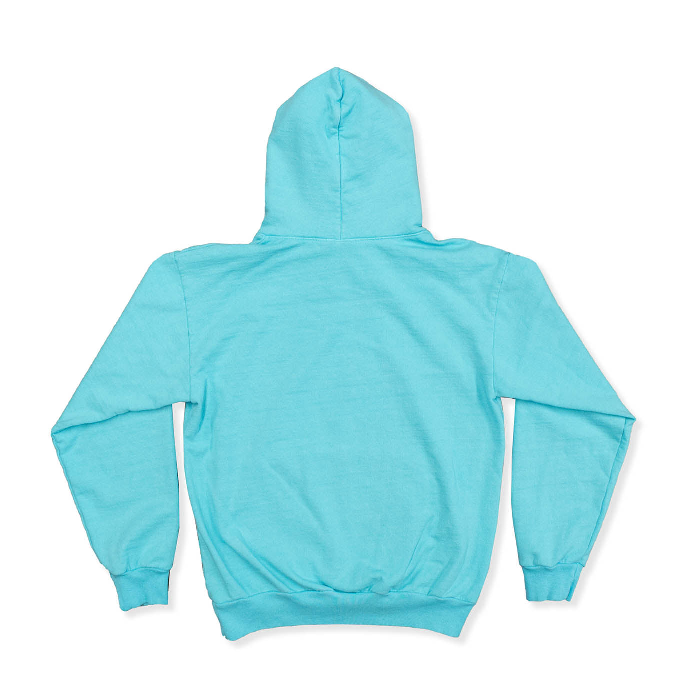 Coachella x Everybody.World 100% Hoodie - Blue