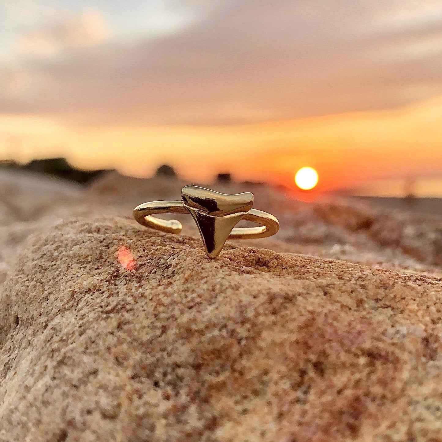 Shark Tooth Rings