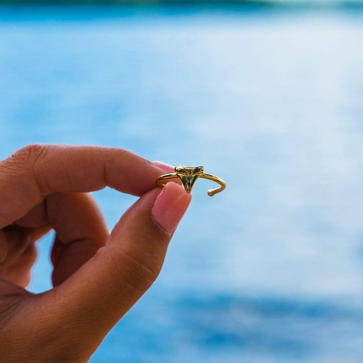 Shark Tooth Rings